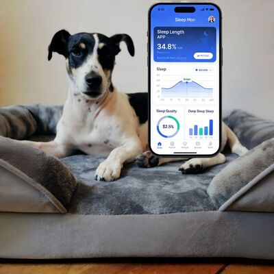 Smart Reptile Pet Bed Health Monitor ติดตามอัตราการเต้นของหัวใจ อัตราการหายใจ อัตราการนอน Pad WiFi Control Outdoor & Car Use Pet Mat